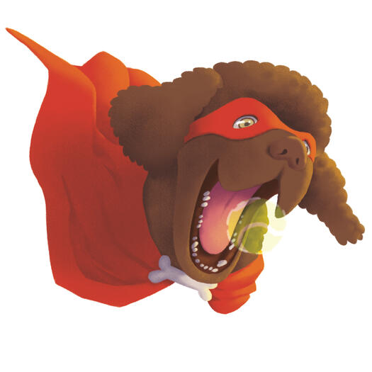 Commissioned illustrated book for a personal project